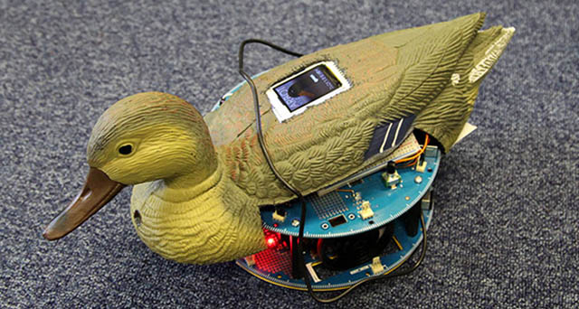 Photo of a modified plastic duck with electronics attached