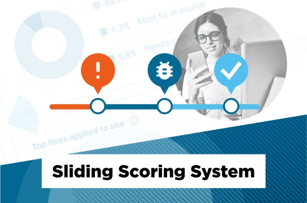 Graphic illustrating the WCAG Sliding Scoring System, with a scale showing an error, a bug, and a good result.