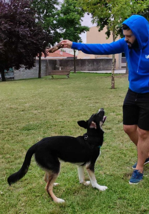 Joao with his dog