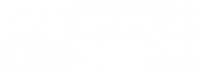 sport england logo white