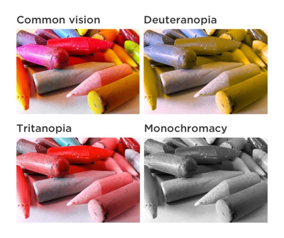 examples of common colour vision, deuteranopia, tritanopia and monochromacy