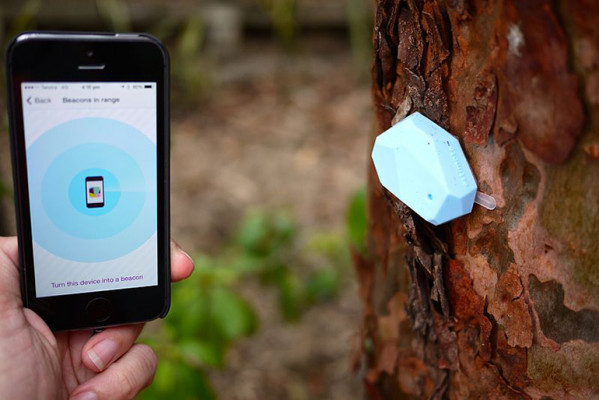 iBeacon example on a tree outdoors