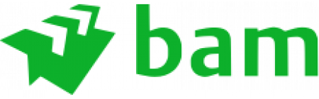 Royal BAM Group logo