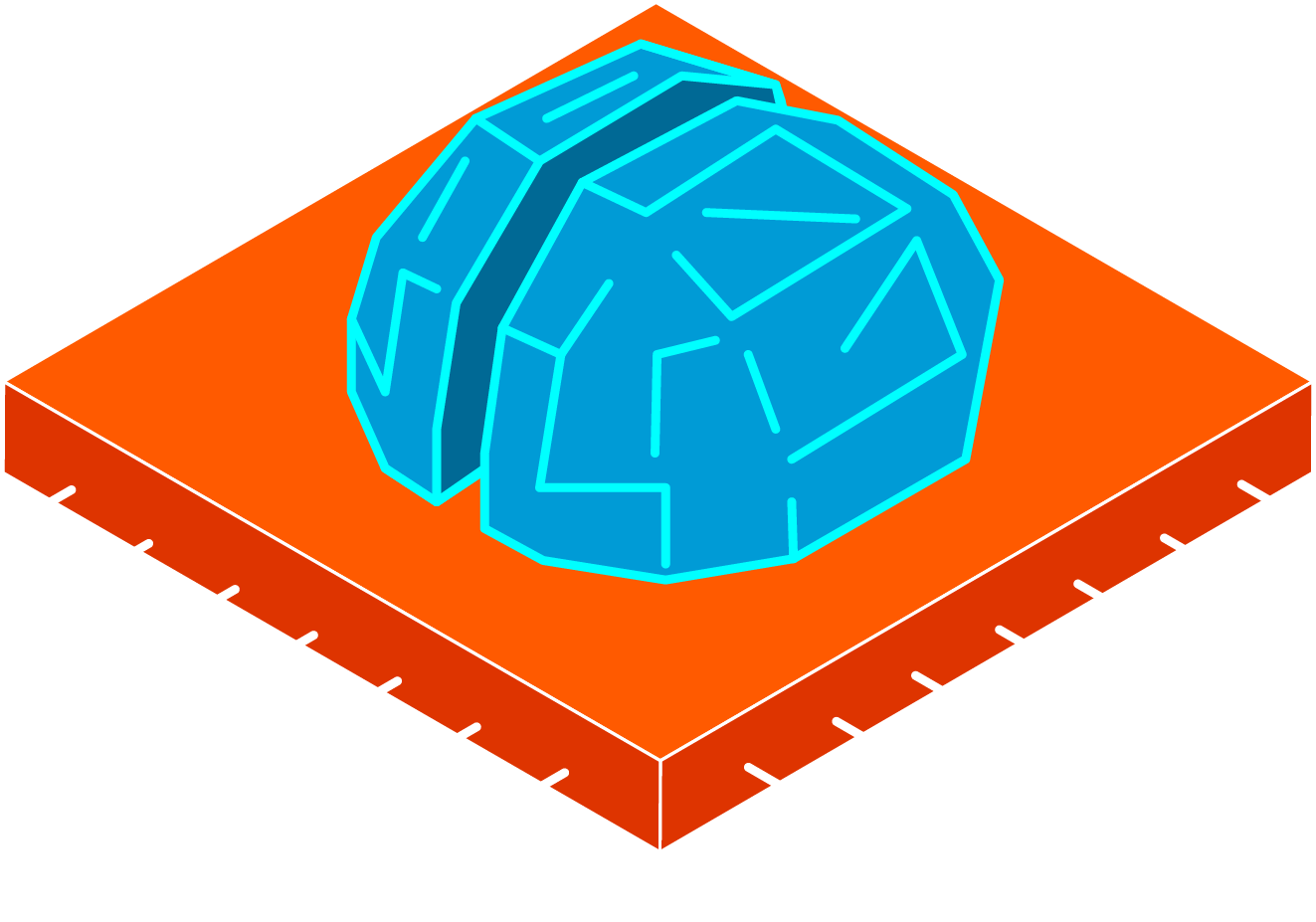 18 brains2x