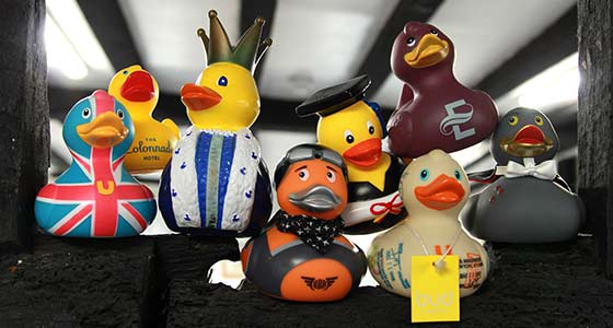 Eight ducks at Cyber-Duck's Elstree office