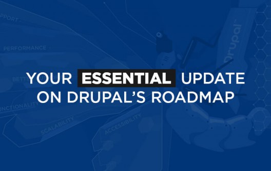 drupal roadmap