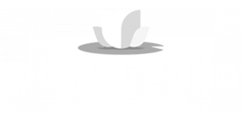 digital pond v2