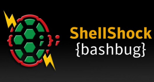 Shellshock wide