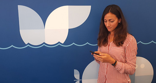 Mobile Travel Product v2